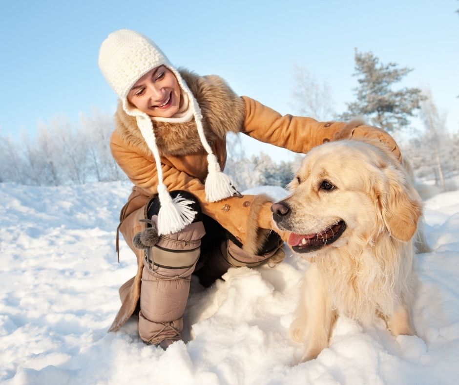 Ways To Get Out of a Bad Mood play with pets
